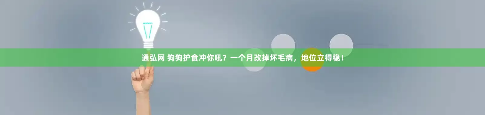通弘网 狗狗护食冲你吼？一个月改掉坏毛病，地位立得稳！