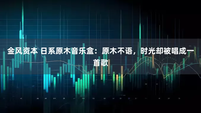 金风资本 日系原木音乐盒：原木不语，时光却被唱成一首歌